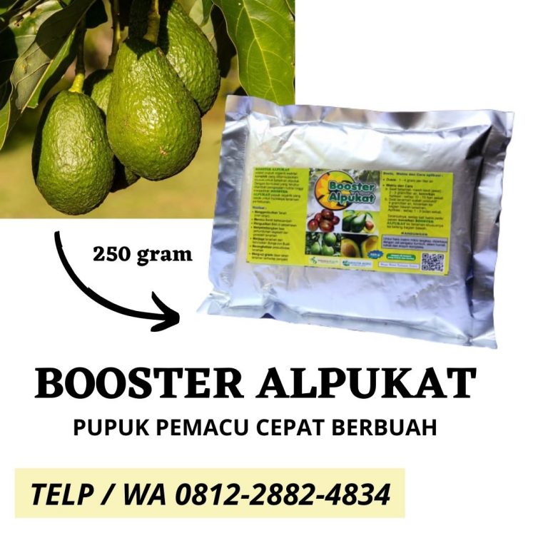 TERBAIK, 0812-2882-4834, Pusat Booster Pohon Alpukat Purwodadi, Toko Pupuk Booster Alpukat Jepara, Harga Pupuk Alpukat Agar Cepat Berbuah Karanganyar