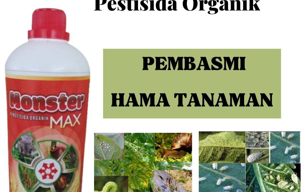 ASLI 0812-2882-4834 Tempat Pestisida Organik Terbaik Paling Ampuh Kupang, Asli Pestisida Organik Terbaik Untuk Cabe Oelamasi, Ori Pestisida Organik Terbaik Timor Tengah Selatan