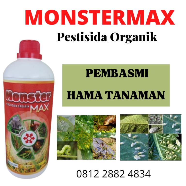 ASLI 0812-2882-4834 Tempat Pestisida Organik Terbaik Paling Ampuh Kupang, Asli Pestisida Organik Terbaik Untuk Cabe Oelamasi, Ori Pestisida Organik Terbaik Timor Tengah Selatan