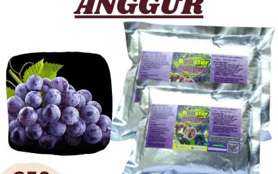 WA, 0812-2882-4834, Toko Pupuk Untuk Anggur Serang, Harga Booster Anggur Brazil Lebak, Pabrik Pupuk Booster Anggur Rangkasbitung