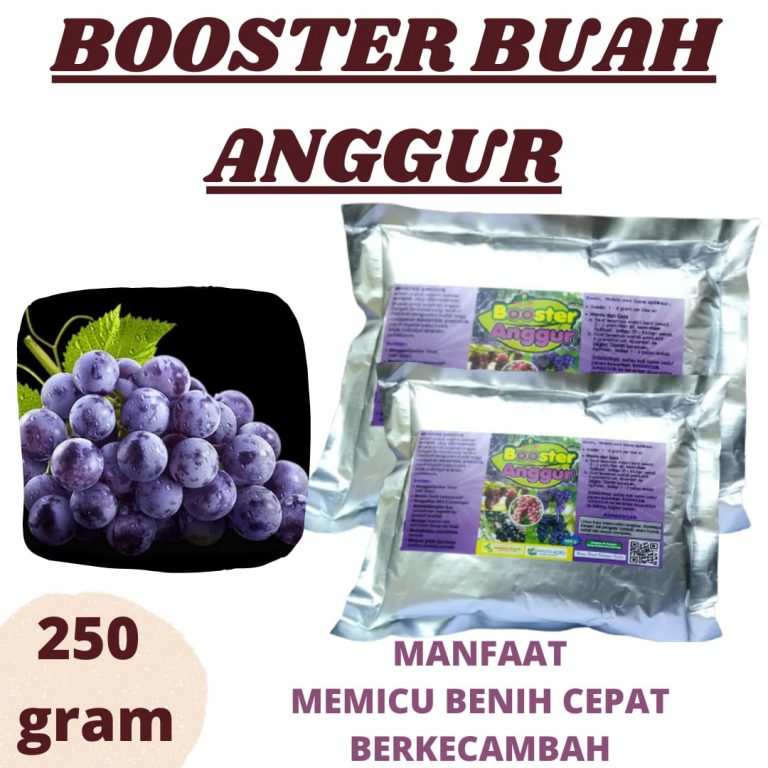 WA, 0812-2882-4834, Toko Pupuk Untuk Anggur Serang, Harga Booster Anggur Brazil Lebak, Pabrik Pupuk Booster Anggur Rangkasbitung