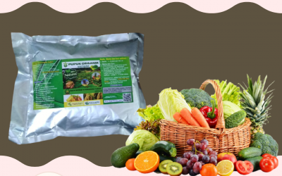 DISKON, 0812-2882-4834, Distributor pupuk pelebat buah pare Bandung, Pusat pupuk pelebat buah pisang Soreang, pabrik pupuk booster buah sawit Bandung Barat