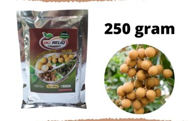 TERPERCAYA, 0812-2882-4834, Agen Pupuk Untuk Membuahkan Kelengkeng Banjarmasin, Distributor Pupuk Pertumbuhan Kelengkeng Tanah Laut, Pusat Pupuk Terbaik Untuk Tanaman Kelengkeng Pelaihari