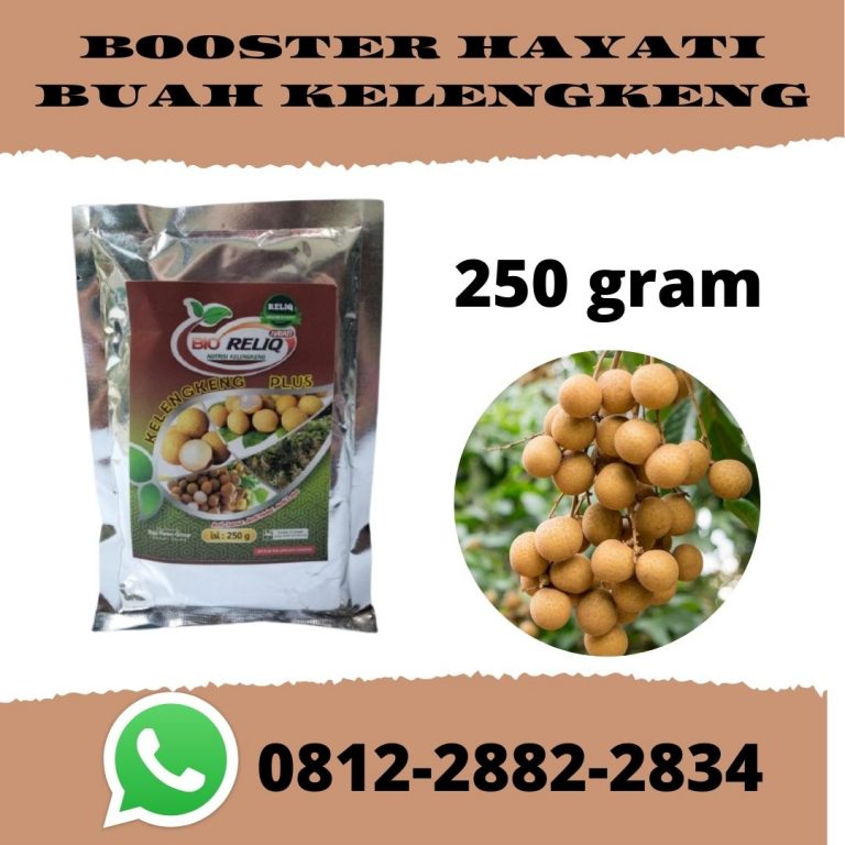 TERPERCAYA, 0812-2882-4834, Agen Pupuk Untuk Membuahkan Kelengkeng  Banjarmasin, Distributor Pupuk Pertumbuhan Kelengkeng Tanah Laut, Pusat Pupuk Terbaik Untuk Tanaman Kelengkeng Pelaihari