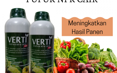 PROMO, 0812-2882-4834, AGEN Pupuk Npk Untuk Buah, TOKO Pupuk Npk Untuk Bunga Bengkulu Selatan, DISTRIBUTOR Pupuk Npk Booster Kota Manna