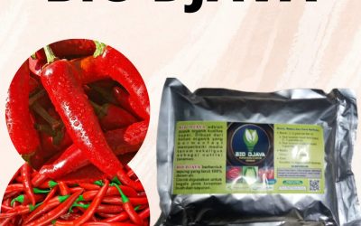 AMPUH, 0812-2882-4834, Harga Pupuk Cabe Agar Cepat Berbuah Padang, Produsen Pupuk Cabe Baru Tanam Painan, Pabrik Pupuk Cabe Biar Berbuah Lebat Sijunjung