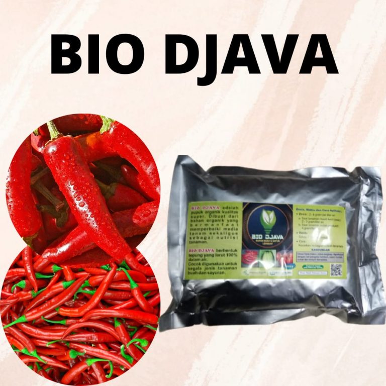 AMPUH, 0812-2882-4834, Harga Pupuk Cabe Agar Cepat Berbuah Padang, Produsen Pupuk Cabe Baru Tanam Painan, Pabrik Pupuk Cabe Biar Berbuah Lebat Sijunjung