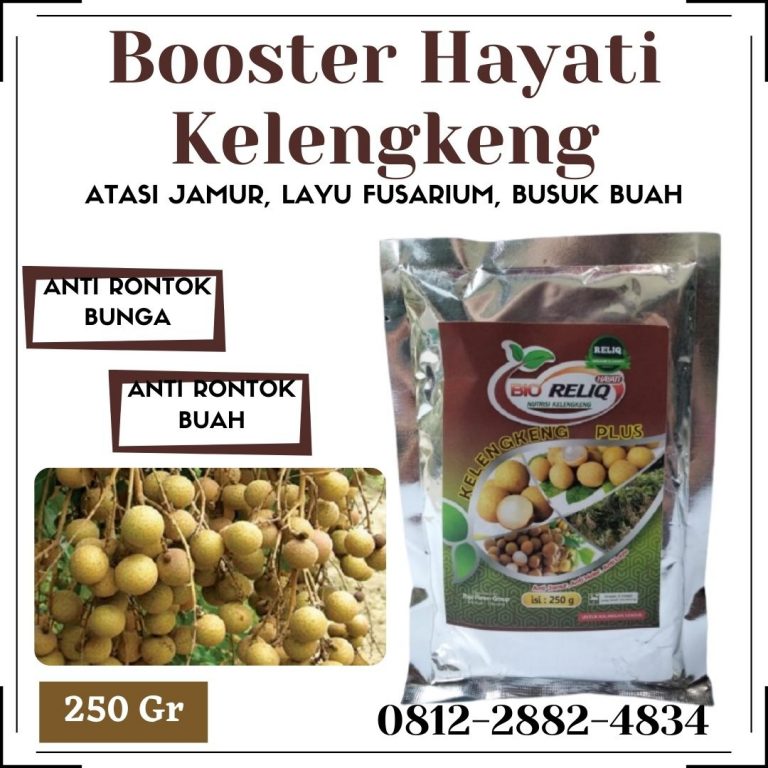 MURAH, 0812-2882-4834, Agen Pupuk Buat Buah Kelengkeng Mojokerto, Distributor Pupuk Pembesar Buah Kelengkeng Mojosari, Pusat Pupuk Pelebat Buah Kelengkeng Nganjuk