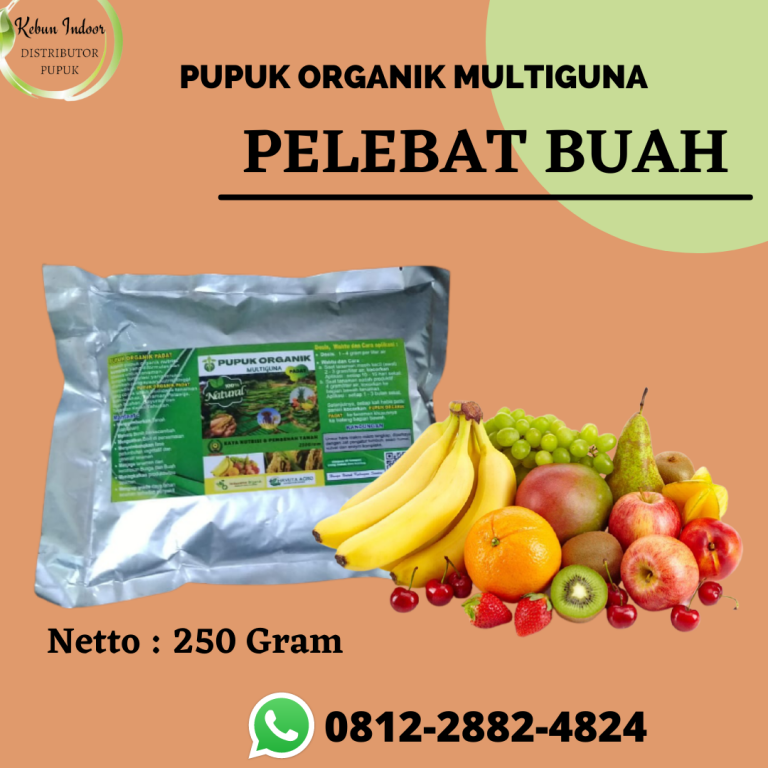 TELP, 0812-2882-4834, Agen pupuk perangsang buah untuk lengkeng Bengkulu Selatan, Distributor pupuk pelebat buah mentimun Kota Manna, Pusat pupuk perangsang buah mangga Rejang Lebong