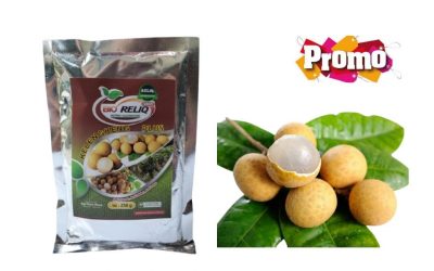 BIG SALE, 0812-2882-4834, Distributor Pupuk Untuk Pertumbuhan Kelengkeng Surabaya, Pusat Pupuk Untuk Buah Kelengkeng Agar Cepat Berbuah Bangkalan, Toko Pupuk Buah Kelengkeng Banyuwangi
