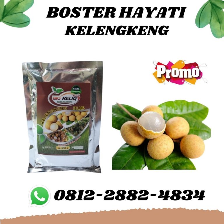 BIG SALE, 0812-2882-4834, Distributor Pupuk Untuk Pertumbuhan Kelengkeng Surabaya, Pusat Pupuk Untuk Buah Kelengkeng Agar Cepat Berbuah Bangkalan, Toko Pupuk Buah Kelengkeng Banyuwangi