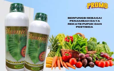 BIG SALE, 0812-2882-4834, Harga Perekat Perata Terbaik Sumber, Pabrik Perekat Dan Perata Insektisida Garut, Jual Perekat Dan Perata Pestisida Tarogong Kidul