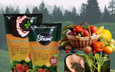 BIG SALE, 0812-2882-4834, Harga Pupuk Tanaman Bawang Merah Bandung, Pabrik Pupuk Tanaman Cabe Rawit Soreang, Jual Pupuk Tanaman Cepat Berbuah Cikarang