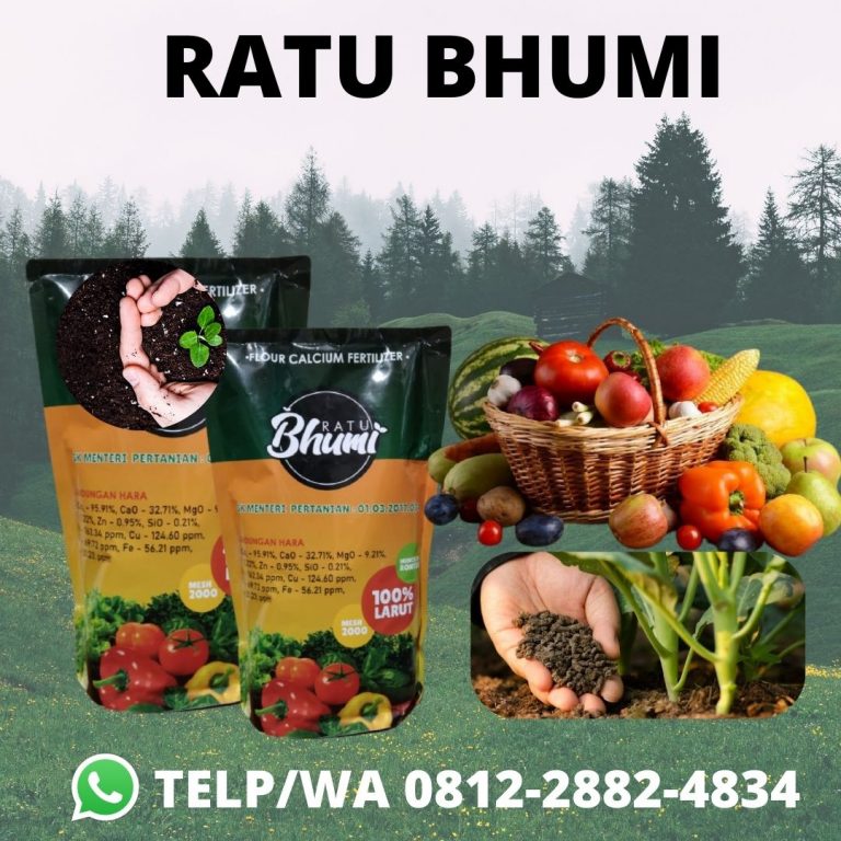 BIG SALE, 0812-2882-4834, Harga Pupuk Tanaman Bawang Merah Bandung, Pabrik Pupuk Tanaman Cabe Rawit Soreang, Jual Pupuk Tanaman Cepat Berbuah Cikarang