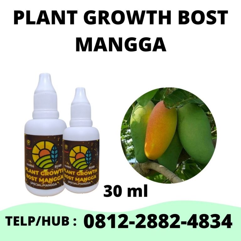 DAPATKAN, 0812-2882-4834, Pabrik Pupuk Untuk Mangga Baru Tanam Semarang, Grosir Pupuk Untuk Mangga Cepat Berbuah Brebes, Toko Pupuk Untuk Mangga Yang Sedang Berbunga Cilacap