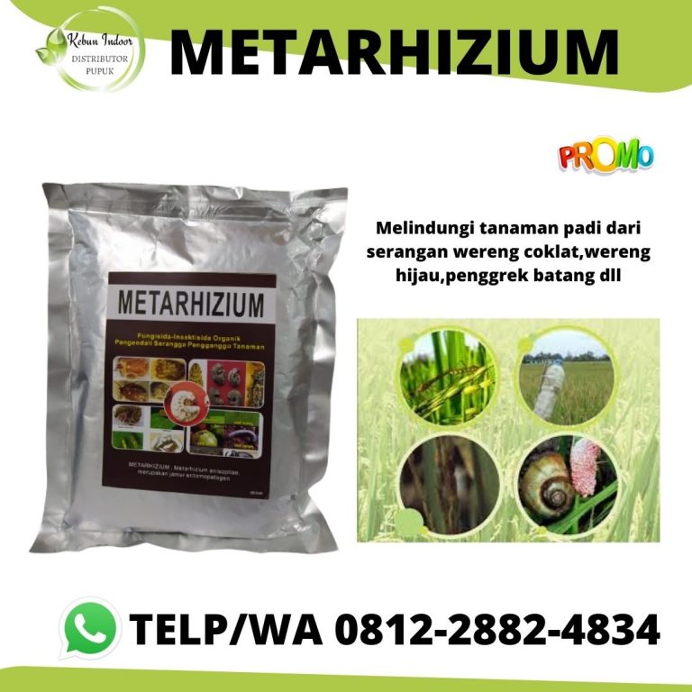 DISKON, 0812-2882-4834, Harga Insektisida Untuk Pohon Mangga Kerinci, Pabrik Insektisida Untuk Perendaman Benih Padi Siulak, Jual Insektisida Untuk Padi Sawah Merangin