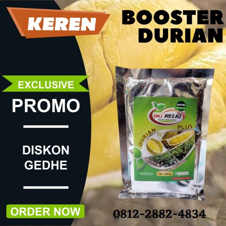 PROMO, 0812-2882-4834, Distributor Pupuk Dasar Tanaman Durian Aceh Barat Daya, Pusat Pupuk Awal Tanaman Durian Calang, Toko Pupuk Khusus Tanaman Durian Aceh Besar
