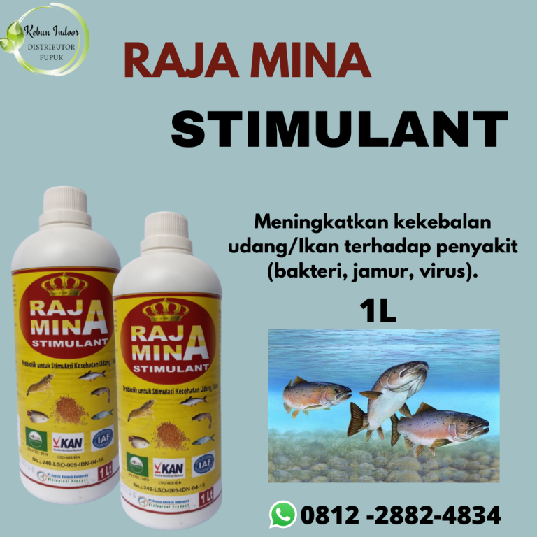 TERPERCAYA, 0812-2882-4834, Harga Obat Untuk Ikan Koi Yang Sakit Malinau, Produsen Obat Untuk Ikan Berjamur Nunukan, Pabrik Obat Untuk Ikan Arwana Nunukan
