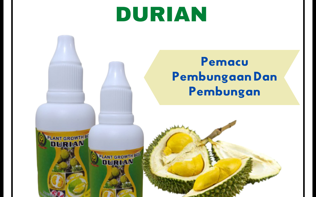 ORI, 0812-2882-4834, Harga Pupuk Anti Rontok Buah Durian Mungkid, Pabrik Pupuk Durian Agar Cepat Buah Pati, Jual Pupuk Booster Buah Durian Pemalang