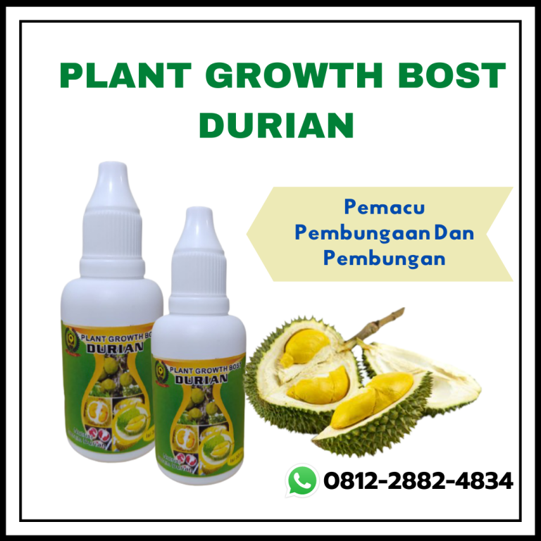 ORI, 0812-2882-4834, Harga Pupuk Anti Rontok Buah Durian Mungkid, Pabrik Pupuk Durian Agar Cepat Buah Pati, Jual Pupuk Booster Buah Durian Pemalang