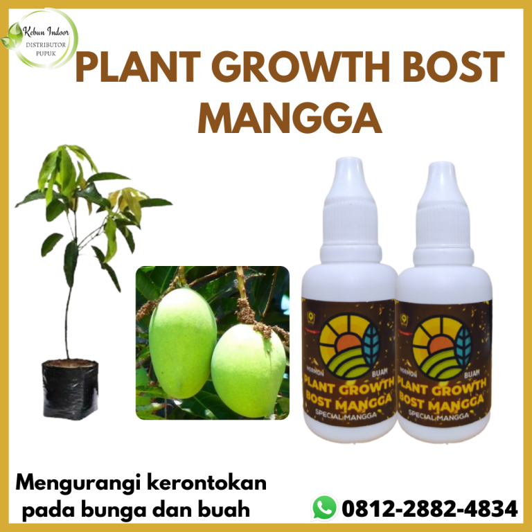 TERMURAH, 0812-2882-4834, Harga Pupuk Mangga Sedang Berbunga Indragiri Hulu, Produsen Pupuk Mangga Berbunga Rengat, Pabrik Pupuk Mangga Irwin Kasmari