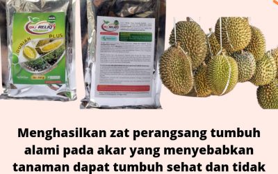 ORGANIK, 0812-2882-4834, Harga Pupuk Untuk Pembuahan Durian Palangkaraya, Pabrik Pupuk Buah Durian Montong Kotawaringin Barat, Jual Pupuk Untuk Durian Montong Pangkalan Bun