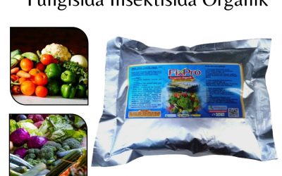 MURAH, 0812-2882-4834, Jual Insektisida Untuk Kutu Kasur Bengkulu Selatan, Agen Insektisida Untuk Kutu Sisik Kota Manna, Distributor Insektisida Untuk Kaper Rejang Lebong