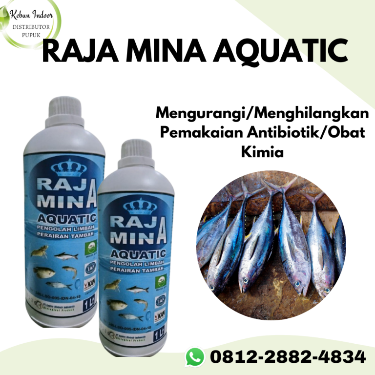 Agrobisnis, 0812-2882-4834, Jual Probiotik Untuk Perikanan Palangkaraya, Agen Suplemen Organik Untuk Perikanan Kotawaringin Barat, Distributor Probiotic Bakteri Starter Kolam Aquarium Kolam Pangkalan Bun