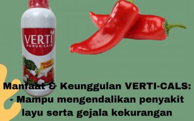 AMPUH, 0812-2882-4834, Jual Pupuk Jeruk Supaya Manis  Samarinda, Agen Pupuk Jeruk Nagami Paser, Distributor Pupuk Tanaman Jeruk Nipis Paser, Pusat Pupuk Pemanis Jeruk Tana Paser
