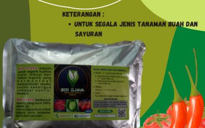 BIG SALE, 0812-2882-4834, Jual Pupuk Tomat Saat Berbuah Gorontalo, Agen Pupuk Tomat Ceri Limboto, Distributor Pupuk Untuk Tomat Ceri Boalemo