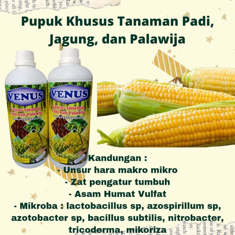 TERBAIK 0812-2882-4834, Jual pupuk jagung, Agen pupuk jagung masa generatif Manado, Distributor pupuk untuk jagung hibrida Bolaang Mongondow, Pusat pupuk dasar jagung hibrida Lolak