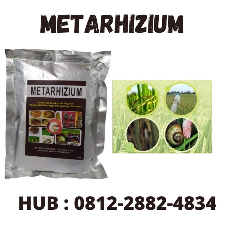 MURAH, 0812-2882-4834, Distributor Insektisida Untuk Cabe Rawit Bandung, Pusat Insektisida Untuk Semut Hitam Soreang, pupuk hayati mikoriza Bandung Barat