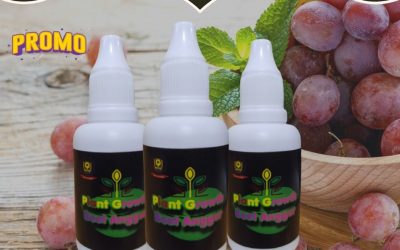 MURAH, 0812-2882-4834, Pusat Pupuk Untuk Anggur Cepat Berbuah Semarang, Toko Pupuk Apa Supaya Anggur Cepat Berbuah Brebes, Harga Pupuk Pohon Anggur Agar Cepat Berbuah Cilacap