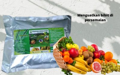 ORGANIK, 0812-2882-4834, Pusat pupuk perangsang buah mangga Purwakarta, Toko pupuk perangsang buah manggis Sukabumi, harga pupuk perangsang buah melon Palabuhanratu