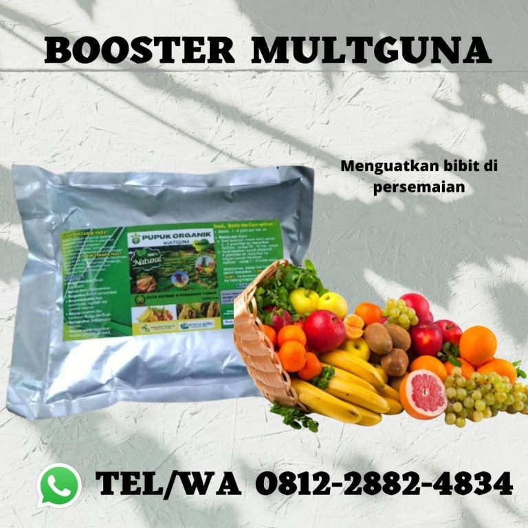 ORGANIK, 0812-2882-4834, Pusat pupuk perangsang buah mangga Purwakarta, Toko pupuk perangsang buah manggis Sukabumi, harga pupuk perangsang buah melon Palabuhanratu