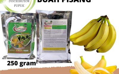 ORGANIK, 0812-2882-4834, Pusat pupuk untuk pohon pisang kepok Pontianak, Toko pupuk pohon pisang agar cepat berbuah Sambas, Agen pupuk untuk pohon pisang baru tanam Pemangkat