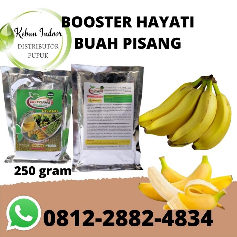 ORGANIK, 0812-2882-4834, Pusat pupuk untuk pohon pisang kepok Pontianak, Toko pupuk pohon pisang agar cepat berbuah Sambas, Agen pupuk untuk pohon pisang baru tanam Pemangkat