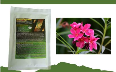 ORGANIK, 0812-2882-4834, TOKO Pupuk Agar Anggrek Rajin Berbunga Semarang, PABRIK Pupuk Anggrek Supaya Rajin Berbunga Brebes, DISTRIBUTOR Pupuk Anggrek Biar Rajin Berbunga Cilacap