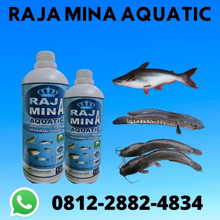 Organik, 0812-2882-4834, Pabrik Probiotik Ikan Perikanan 1 Liter Badung, Murah Probiotik Perikanan Kolam Tambak Mangupura, Jual Pupuk Tambak Udang Bangli
