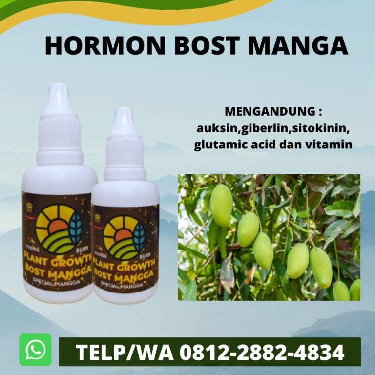 PROMO, 0812-2882-4834, Asli Pupuk Mangga Cepat Berbuah  Medan, Supplier Pupuk Mangga Cepat Buah Tapanuli Tengah, Jual Pupuk Cair Mangga Pandan