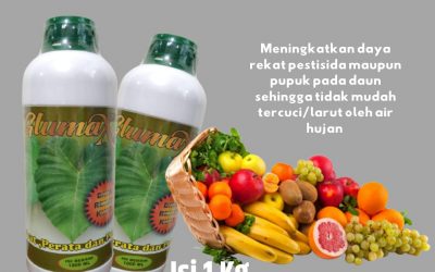 PROMO, 0812-2882-4834, Distributor GLUMAX Perekat Pupuk Cabe Musim Hujan Pekan Baru, Pusat GLUMAX Perekat Penembus Pupuk Tomat Musim Hujan Kampar, Pabrik Pupuk Padi Musim Hujan Bangkinang