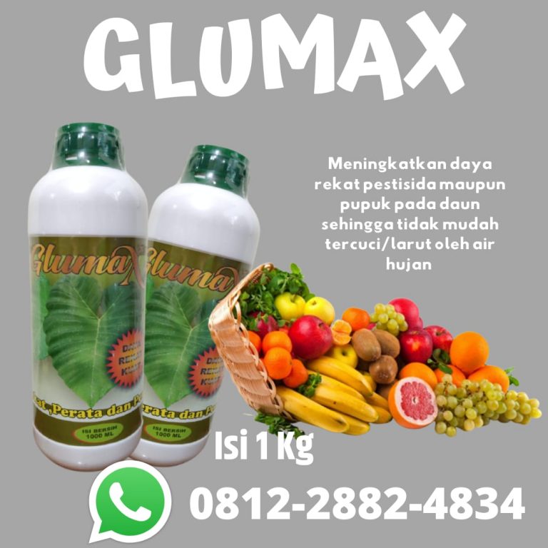 PROMO, 0812-2882-4834, Distributor GLUMAX Perekat Pupuk Cabe Musim Hujan Pekan Baru, Pusat GLUMAX Perekat Penembus Pupuk Tomat Musim Hujan Kampar, Pabrik Pupuk Padi Musim Hujan Bangkinang