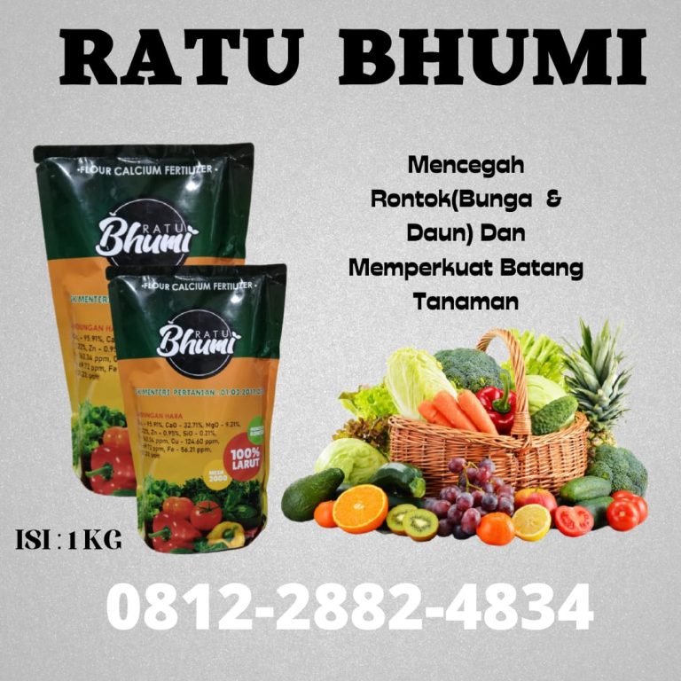 PROMO, 0812-2882-4834, Distributor Pupuk Tanaman Jahe  Medan, Pusat Pupuk Tanaman Jeruk Tapanuli Tengah, pupuk hayati mikoriza Pandan