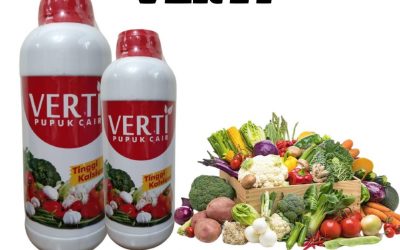 PROMO, 0812-2882-4834, Distributor Pupuk Tanaman Jeruk Nipis Bintan, Pusat Pupuk Pemanis Jeruk Bandar Seri Bentan, pupuk hayati mikoriza Karimun