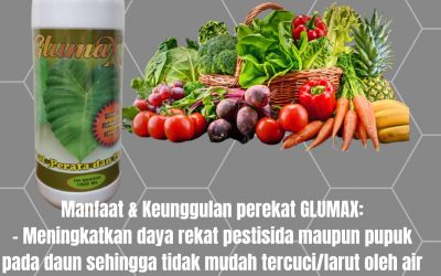 TERBAIK, 0812-2882-4834, Pabrik Perekat Pestisida Yang Bagus Palangkaraya, Jual Perekat Pestisida Paling Bagus Kotawaringin Barat, Agen Perekat Pestisida Sawit Pangkalan Bun, Distributor Perekat Untuk Pestisida Kotawaringin Timur