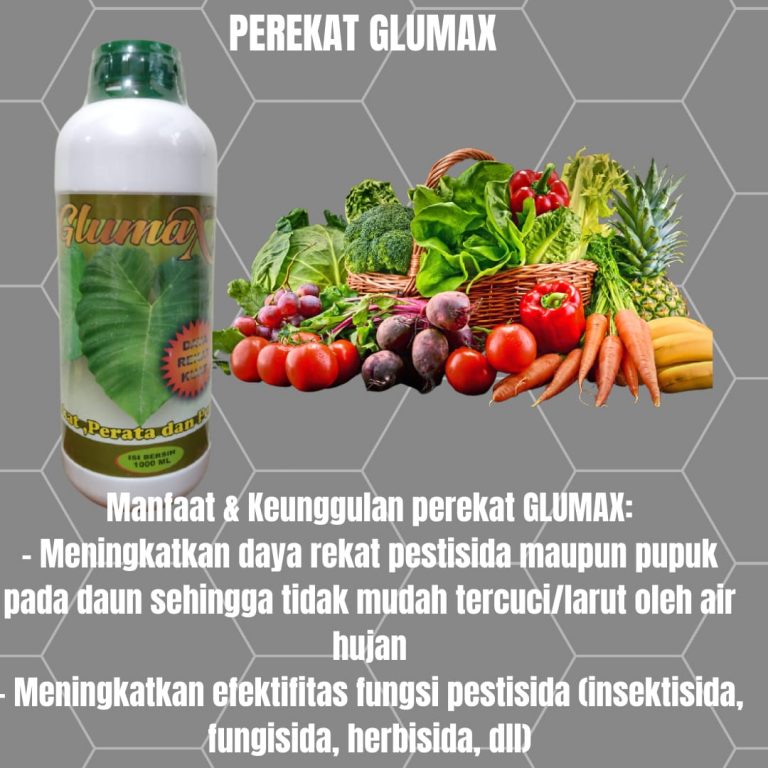 TERBAIK, 0812-2882-4834, Pabrik Perekat Pestisida Yang Bagus Palangkaraya, Jual Perekat Pestisida Paling Bagus Kotawaringin Barat, Agen Perekat Pestisida Sawit Pangkalan Bun, Distributor Perekat Untuk Pestisida Kotawaringin Timur
