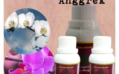 Pertanian, 0812-2882-4834, Murah Obat Kutu Anggrek Bantul, Diskon Obat Semut Pada Anggrek Gunungkidul, Tempat Obat Jamur Pada Anggrek Wonosari