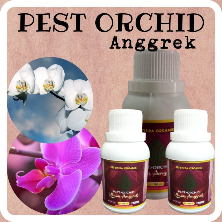 Pertanian, 0812-2882-4834, Murah Obat Kutu Anggrek Bantul, Diskon Obat Semut Pada Anggrek Gunungkidul, Tempat Obat Jamur Pada Anggrek Wonosari