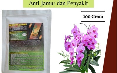 PROMO, 0812-2882-4834, TOKO Pupuk Anggrek Alami, PABRIK Pupuk Anggrek Dendrobium Bintan, DISTRIBUTOR Pupuk Anggrek Agar Subur Bandar Seri Bentan, PRODUSEN Pupuk Anggrek Cepat Berbunga Karimun