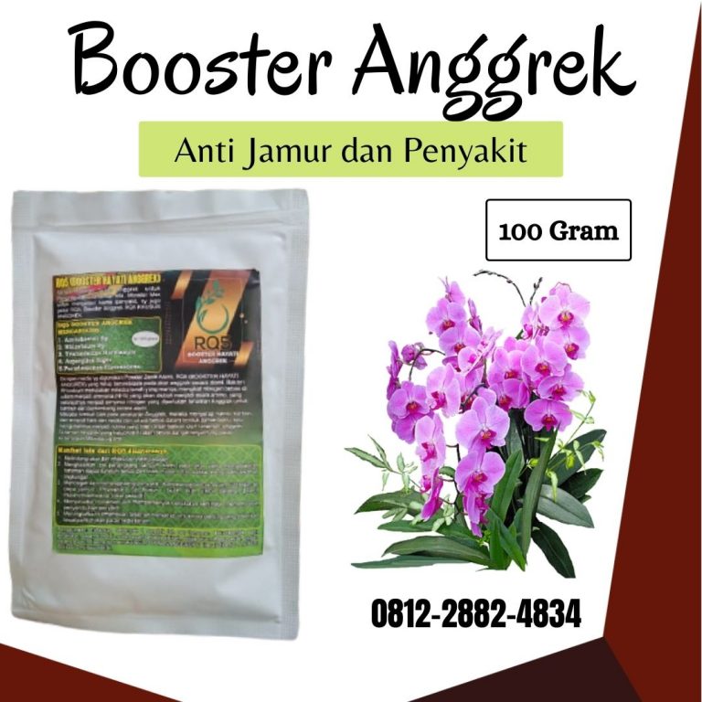 PROMO, 0812-2882-4834, TOKO Pupuk Anggrek Alami, PABRIK Pupuk Anggrek Dendrobium Bintan, DISTRIBUTOR Pupuk Anggrek Agar Subur Bandar Seri Bentan, PRODUSEN Pupuk Anggrek Cepat Berbunga Karimun